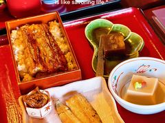 -料亭菊水楼