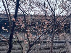 -芜湖新华联大白鲸海洋公园