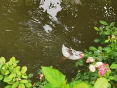 -金庭庄园酒店-停车场