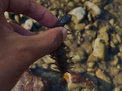 -白河湾生态旅游一条川