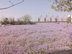 -幕燕滨江·长江观音景区