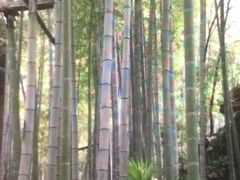 -山沟沟景区