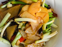 -食家鸽园
