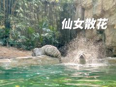 -广州长隆野生动物世界