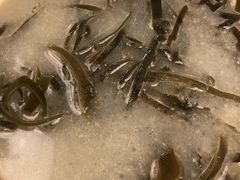 -龙抄手(文殊坊店)