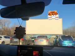-枫花园汽车电影院(朝阳公园店)