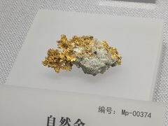 -湖南省地质博物馆