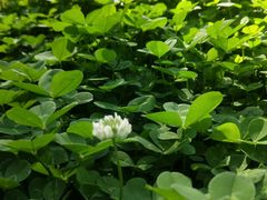 -舍利塔滩地公园-无垢净光舍利塔