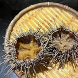 大鱼海棠
