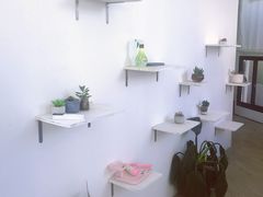 -有猫主题·治愈系猫咖(曾厝垵店)