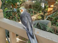 -南宫五洲植物乐园