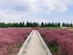 -嘉北郊野公园