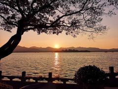 -杭州西湖柳莺里酒店·闻莺厅