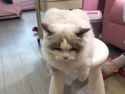 -Beauty Nails 美甲美睫皮肤管理