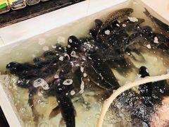 -山城家常菜铁锅炖鱼