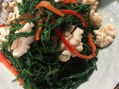 桃仁拌海英菜-碎怂烤肉(钟楼柳巷店)