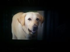 -星河国际影城(新会店)