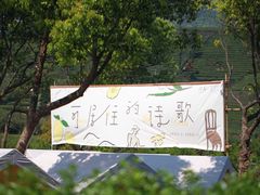 -龙坞茶村
