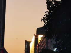 -净耳阁采耳文化体验馆(华强北店)