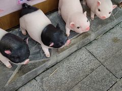 -中山路步行街