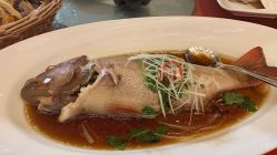 点击看大图 -上海复旦皇冠假日酒店·宴会厅