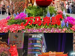 -越秀西湖花市(广州城市广场花卉店)