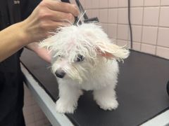 -FAELING PETS美天灵宠物(富力广场店)