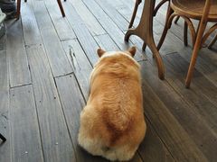 -肥朵食堂(带梦胡同店)