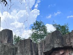 -长鹿旅游休博园