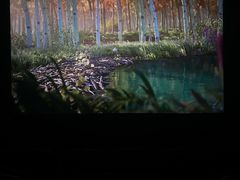 -华谊兄弟影院(IMAX洋桥店)