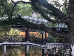 -江心屿景区