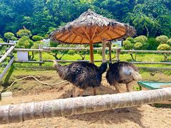 -三亚蜈支洲岛旅游区