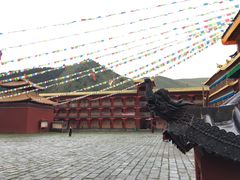 -塔公寺