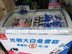 -真老大房鲜肉月饼(南京路步行街店)
