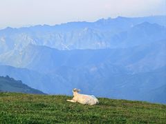 -灵山