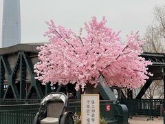 -武汉知音号
