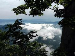 -秦岭天竺山景区
