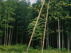 -南北湖风景区