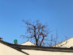 -北寺塔