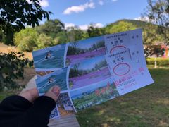 -棒棰岛宾馆景区