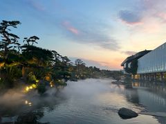 -罗红摄影艺术馆