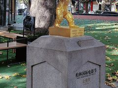 -西安电影制片厂