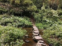 -重庆彩云湖湿地公园