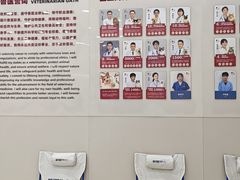 -御宝贝24h宠物医院·转诊中心·CT核磁血透中心(厦门总院)