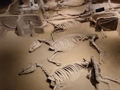 -洛阳周王城天子驾六博物馆