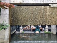 -苏州本色美术馆