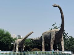 -安徽省地质博物馆