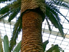 室内景色1-绿色时代大酒店