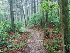 -东白山