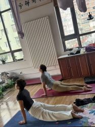 -花间禅净·瑜伽